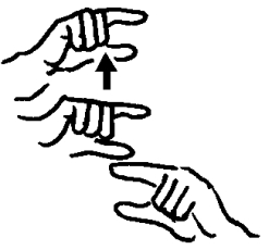 Transcription du signe en dessin