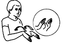 Transcription du signe en dessin