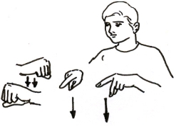 Transcription du signe en dessin