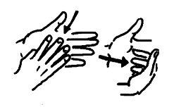 Transcription du signe en dessin
