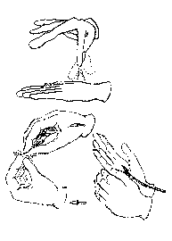 Transcription du signe en dessin