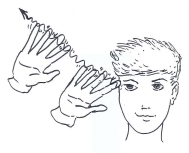 Transcription du signe en dessin