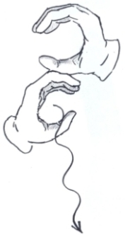 Transcription du signe en dessin