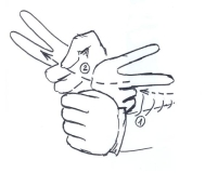 Transcription du signe en dessin