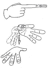 Transcription du signe en dessin