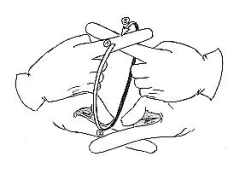 Transcription du signe en dessin