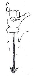 Transcription du signe en dessin