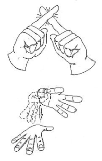 Transcription du signe en dessin