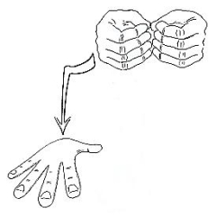 Transcription du signe en dessin